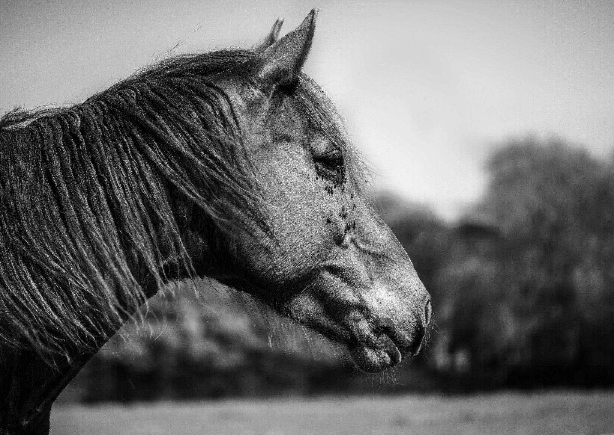 jamie-street-45OO_7pjjJA-unsplash (3)