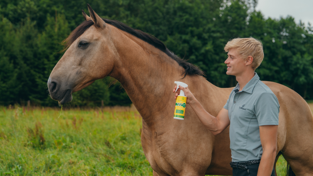 Milben beim Pferd: Symptome erkennen und richtig handeln