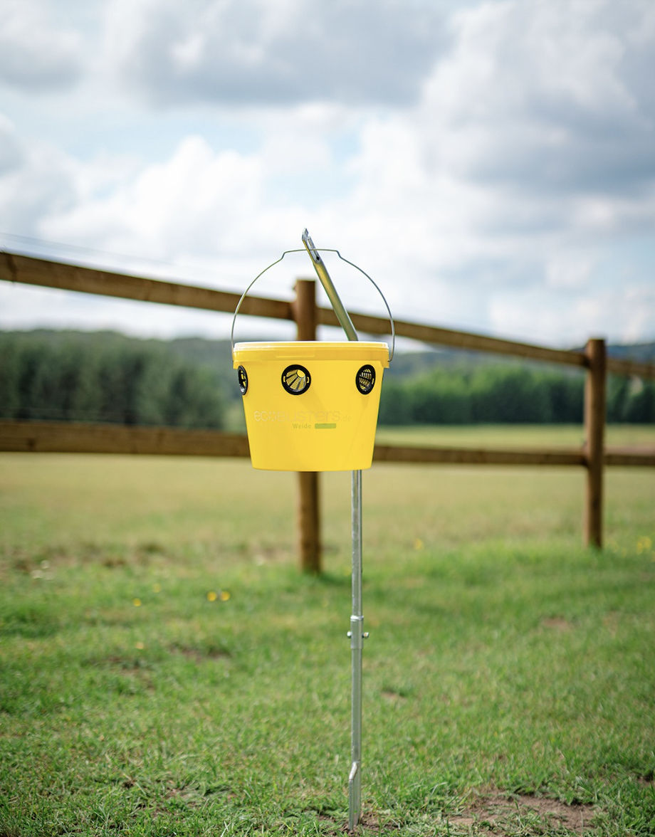 Aufstellpfahl Fliegenfalle Weide
