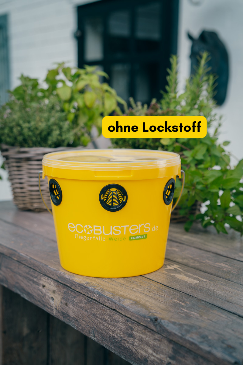 Vliegenval Wilg Compact (ZONDER lokmiddel)