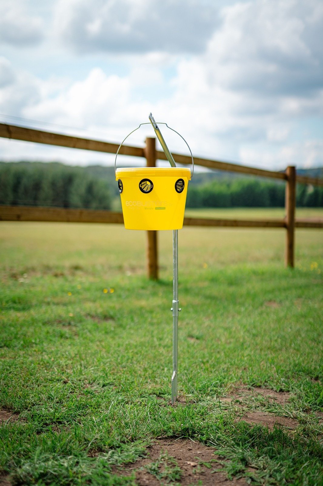 SET XL: Fliegenfalle Weide C + Aufstellpfahl + 240g Lockstoff