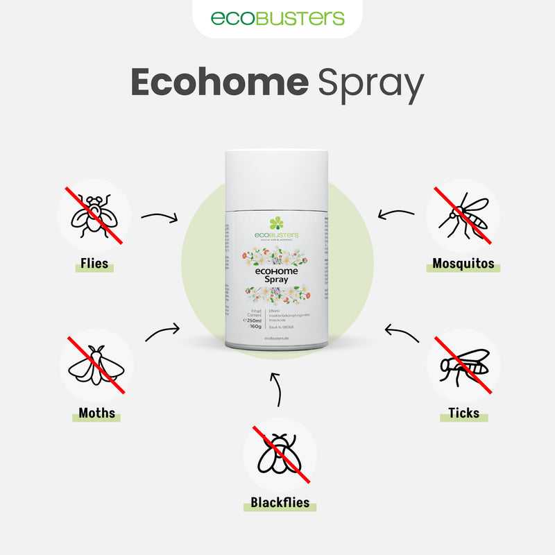 Ecobusters Starter-Set: pulverizador automático + 3 x 250ml EcoHome spray + Varta High Energy Mono D 1,5V (2 unid.)