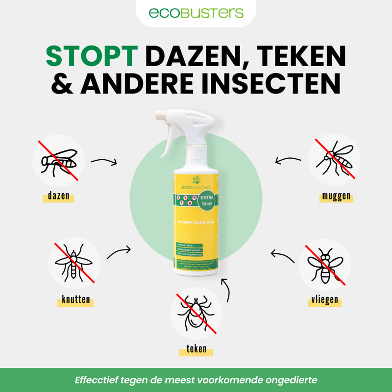 DazenStop Refill 2.5L