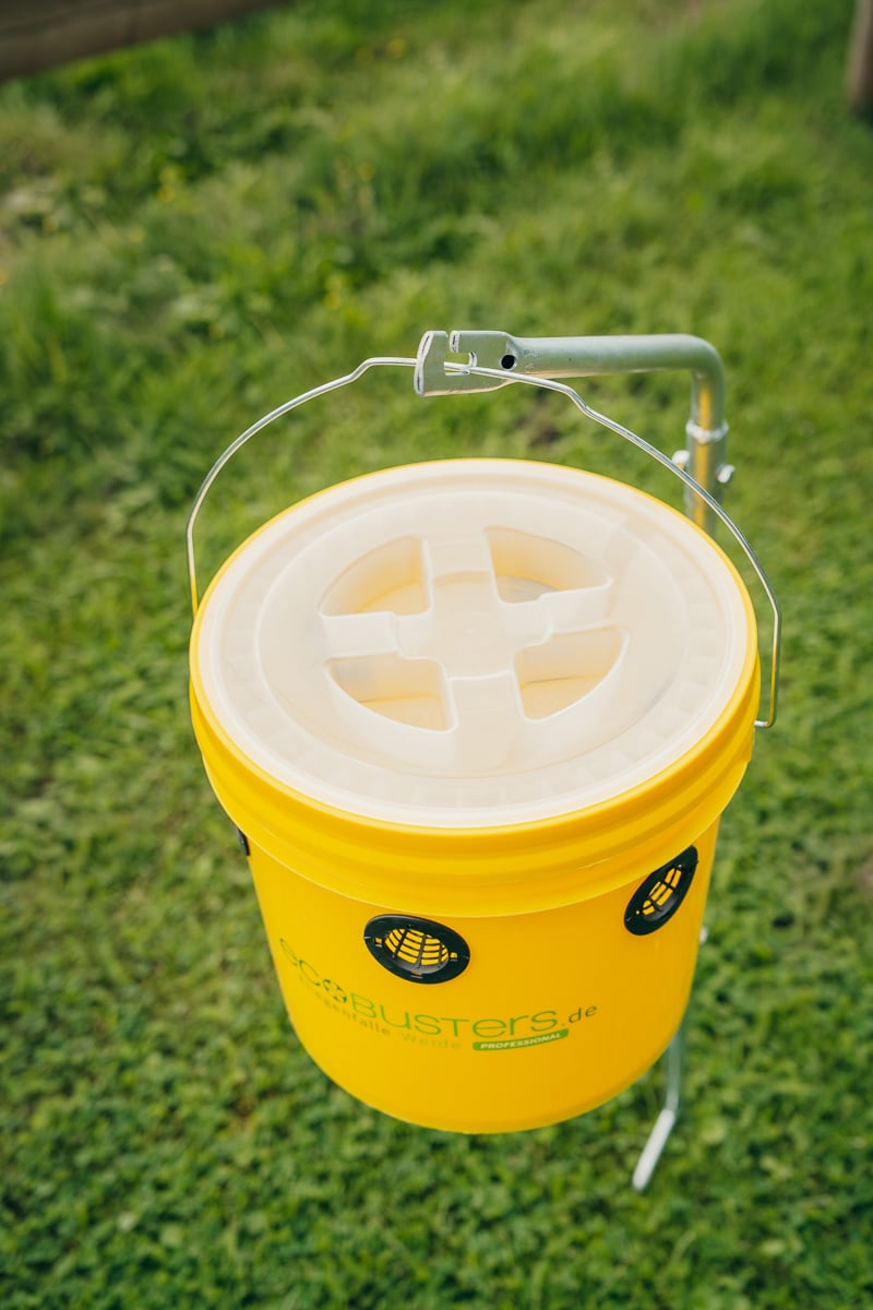 SET: Fly Trap Professional Meadow + 240g Bait: Fly Protection P ...