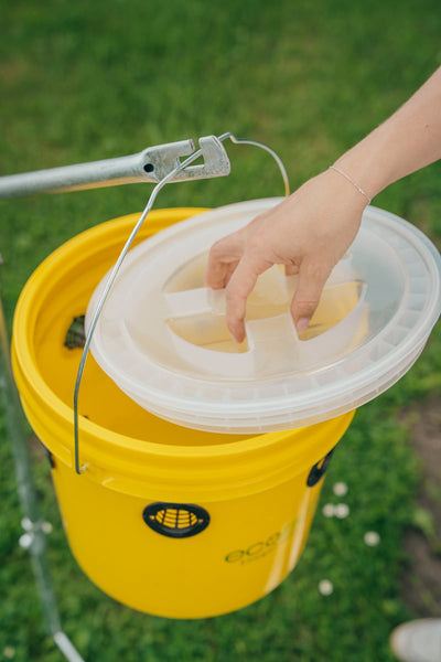 Fliegenfalle Weide Professional OHNE LOCKSTOFF