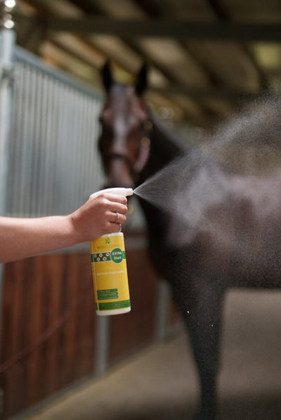 BremsenStop Intense Spray 500 ml