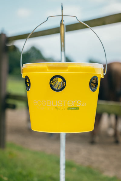 COMPACT PACK: Fliegenfalle Weide C + 240g Lockstoff