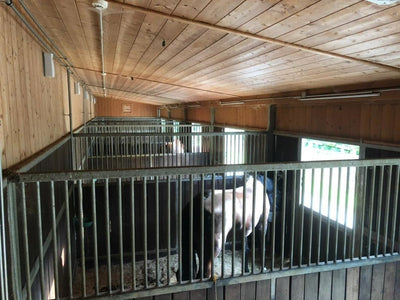 Stable Set - Insect spray for in the stable