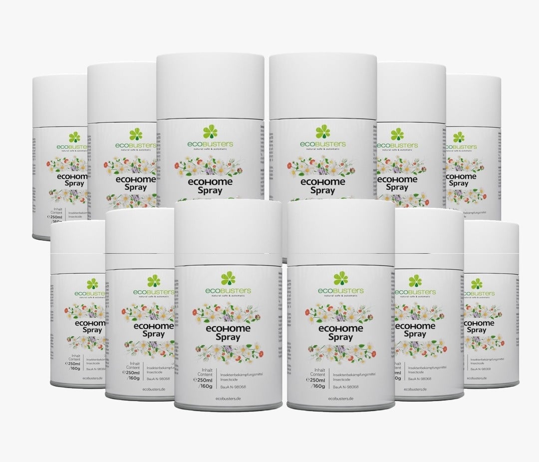 48x EcoHome-spray van 250 ml