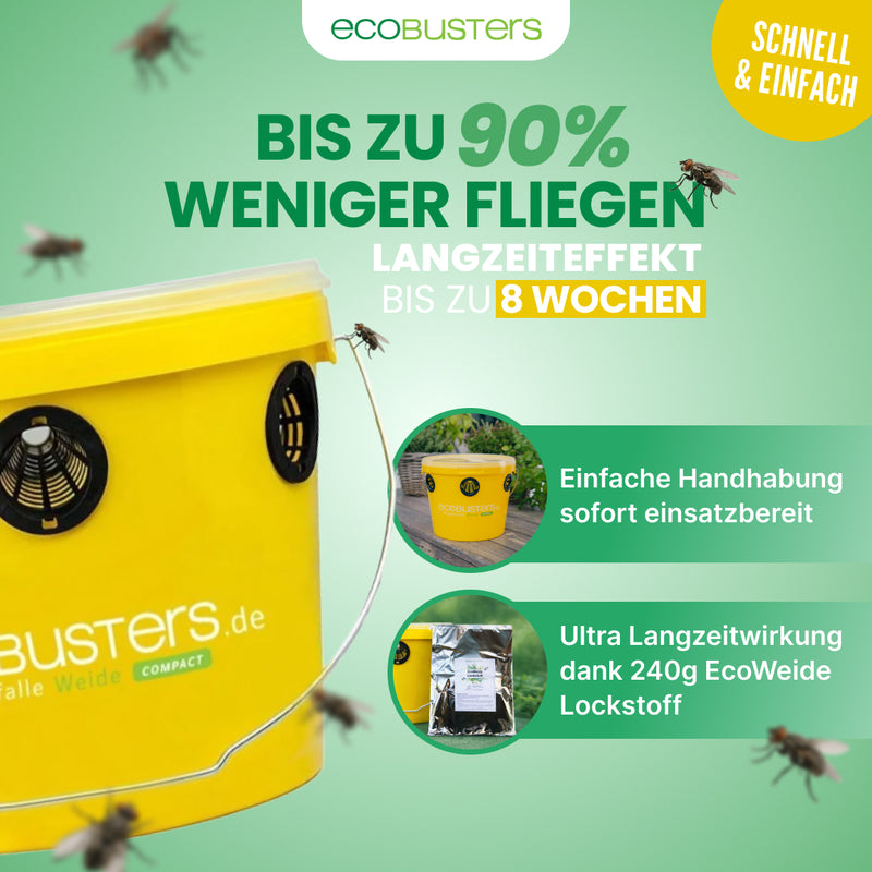 COMPACT PACK: Fliegenfalle Weide C + 240g Lockstoff